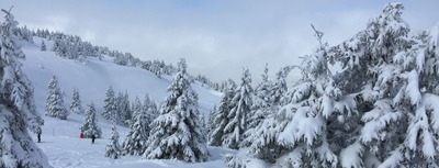 Top 5 des trucs cools &agrave; Monts Jura