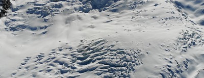 50&deg; North, Ep4S2