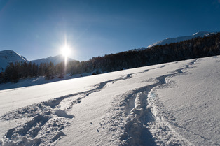  Alerte secret spot en Savoie !