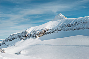Vaud : descente en luge aux Diablerets