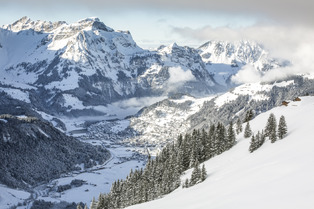 Lucerne : l&rsquo;&eacute;toile montante des neiges