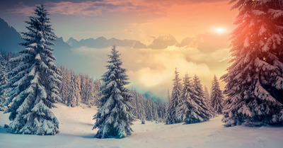 Test Priv&eacute; - Chaussettes chauffantes Therm-Ic