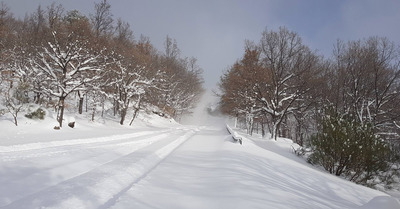 Poudreuse &agrave; volont&eacute; &agrave; l'Est