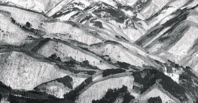 LIVE : Freeride World Tour Hakuba