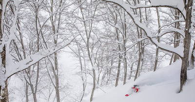 Test Priv&eacute; - DPS