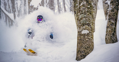 Japon ep. 3 : Cortina&nbsp;