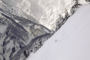 "The Collective", une passion partag&eacute;e