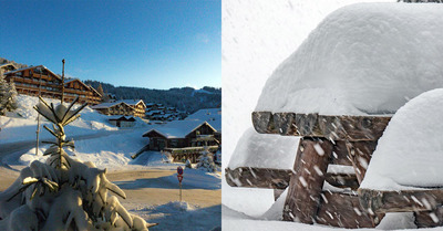Livraison de neige fraîche dans les Alpes du Nord