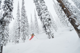 Chez Rossignol, on Ride Free !