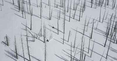 Test Priv&eacute; - Gamme 2021 Dynastar M-FREE 108