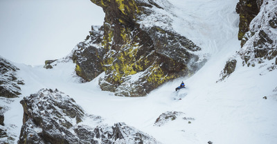 FWT : L&eacute;o est de retour