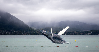 Des baleines dans le lac d'Annecy