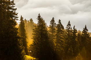 La m&eacute;t&eacute;o montagne du jeudi : Entre pluie et soleil ...