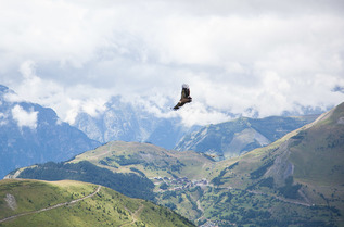 La m&eacute;t&eacute;o montagne du jeudi :  D&eacute;j&agrave; l'automne&nbsp;?