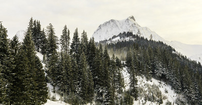 M&eacute;t&eacute;o Alpes :   Les chutes de neige font leur retour
