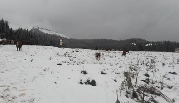 Nostalgie des neiges d'octobre ... et de septembre #3