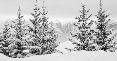 FLASH METEO : Neige pour tout le monde cette semaine !