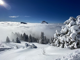Video :   avalanche &agrave; Courchevel ce dimanche