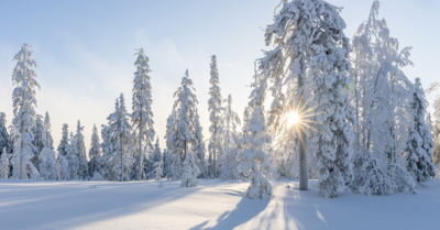 FLASH METEO : Un No&euml;l sous la neige !