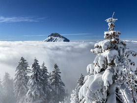 M&eacute;t&eacute;o Neige : De grosses quantit&eacute;s de neige pour finir l'ann&eacute;e !