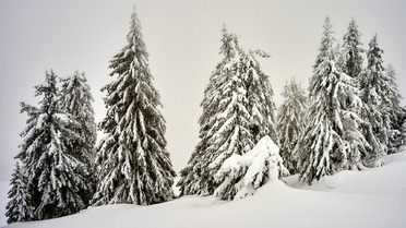 M&eacute;t&eacute;o : Un r&eacute;veillon sous la neige !