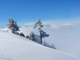 Ski Porn (du pauvre)
