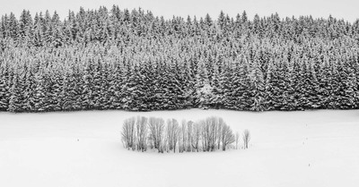 La m&eacute;t&eacute;o du jeudi 11 f&eacute;vrier :   Neige en plaine et froid ... avant le calme&nbsp;?