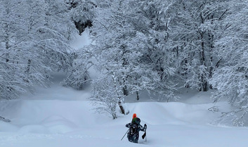 Exp&eacute;dition en terre Vosgienne&nbsp;