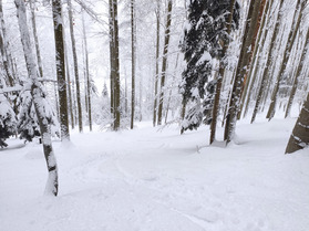 Les Vosges &ccedil;a se ski aussi !
