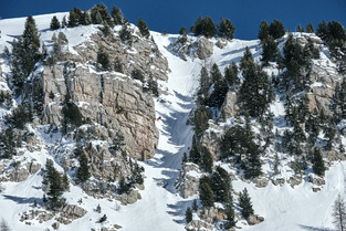 Local Freedom - episode 5  the final -