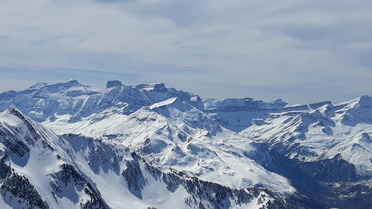 Une semaine en pays Toy !