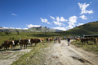 5 incontournables pour une immersion totale dans les traditions montagnardes de Courchevel