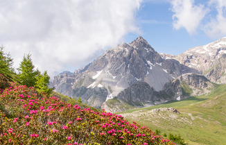 Destination Serre Chevalier Brian&ccedil;on : et vous, quel montagnard &ecirc;tes-vous&nbsp;?