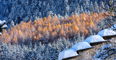Le Vercors en photos ce mardi 30 novembre