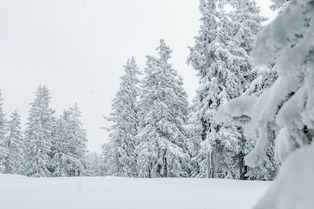 La m&eacute;t&eacute;o du jeudi 02 d&eacute;cembre : tr&egrave;s abondantes et durables chutes de neige !