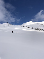 R&eacute;flexions sur un hiver pand&eacute;mique