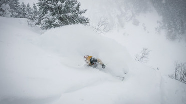 Geliebtes &Ouml;sterreich