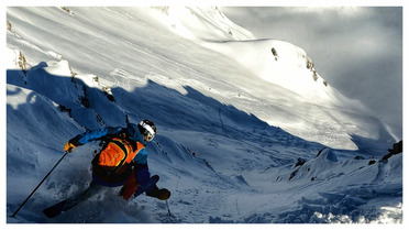 On a promen&eacute; le teckel