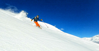 L'article de la semaine by Glisshop : On a promen&eacute; le teckel