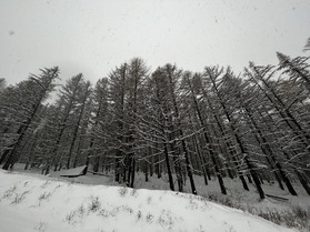 Jour blanc pour Isola, une ouverture sous la neige