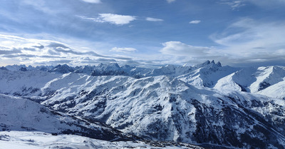 M&eacute;t&eacute;o du jeudi 22 d&eacute;cembre : Pour No&euml;l, &ccedil;a sent le sapin !