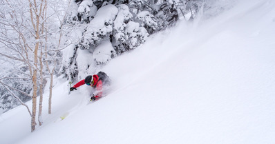 Hokka&iuml;do Ski Safari&nbsp;