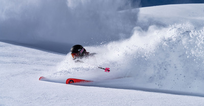 Nouveau Blizzard Rustler 10 2024