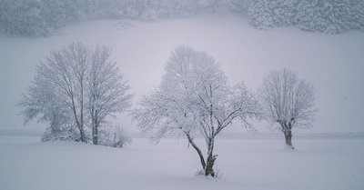 Météo du lundi 27 février :  Des conditions de neige  qui s'améliorent ?