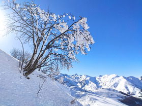 La vita &egrave; bella&nbsp;