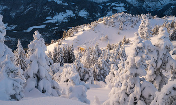 M&eacute;t&eacute;o du jeudi 23 mars : Et revoil&agrave; la neige !