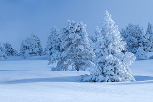 Bulletin m&eacute;t&eacute;o du lundi 10 avril :  Retour de la neige cette semaine, 5 &agrave; 35 cm selon les massifs!