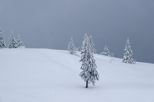 Bulletin m&eacute;t&eacute;o du lundi 17 avril : Des conditions plus mitig&eacute;es