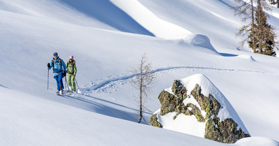 Ski Majesty Superwolf Carbon