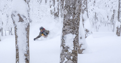 Aomori - bain de poudreuse